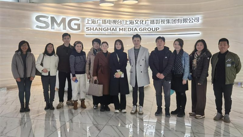 VI设计合同常见争议点解析