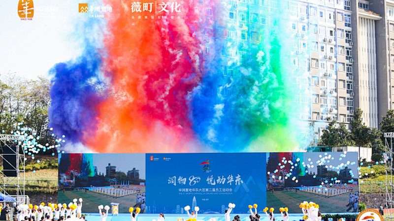 mg动画与Flash：揭秘价格差异背后的秘密
